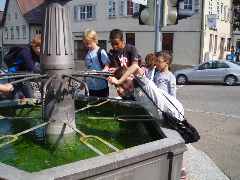 Kopie von 2012 315.jpg